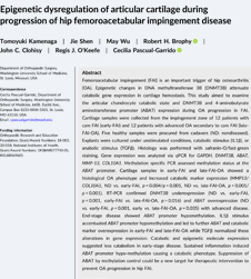 Dr Pascual and team reported, for the first time, on early epigenetic changes that occur in FAI hip disease.