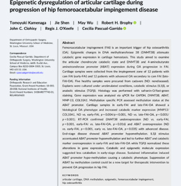 Dr Pascual and team reported, for the first time, on early epigenetic changes that occur in FAI hip disease. These changes are driving a molecular dysregulation that might be deleterious to hip joint homeostasis and resulting in progression to hip OA.